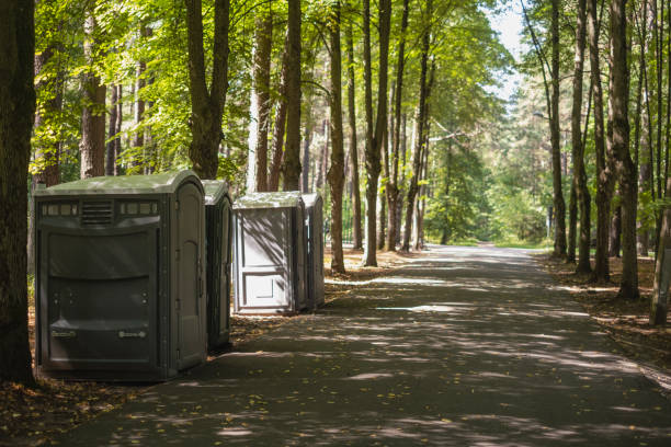 Best High-end porta potty rental  in Hallstead, PA
